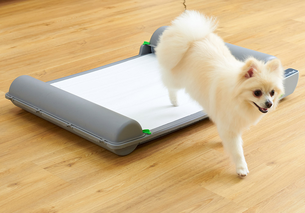 BrilliantPad SMART（ブリリアントパッドスマート）自動犬用トイレ