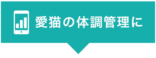 データ管理