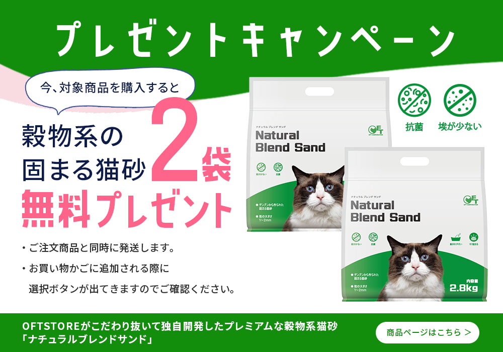 キャンペーン