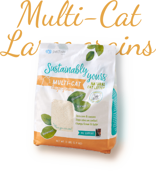 MULTI-CAT Large grains